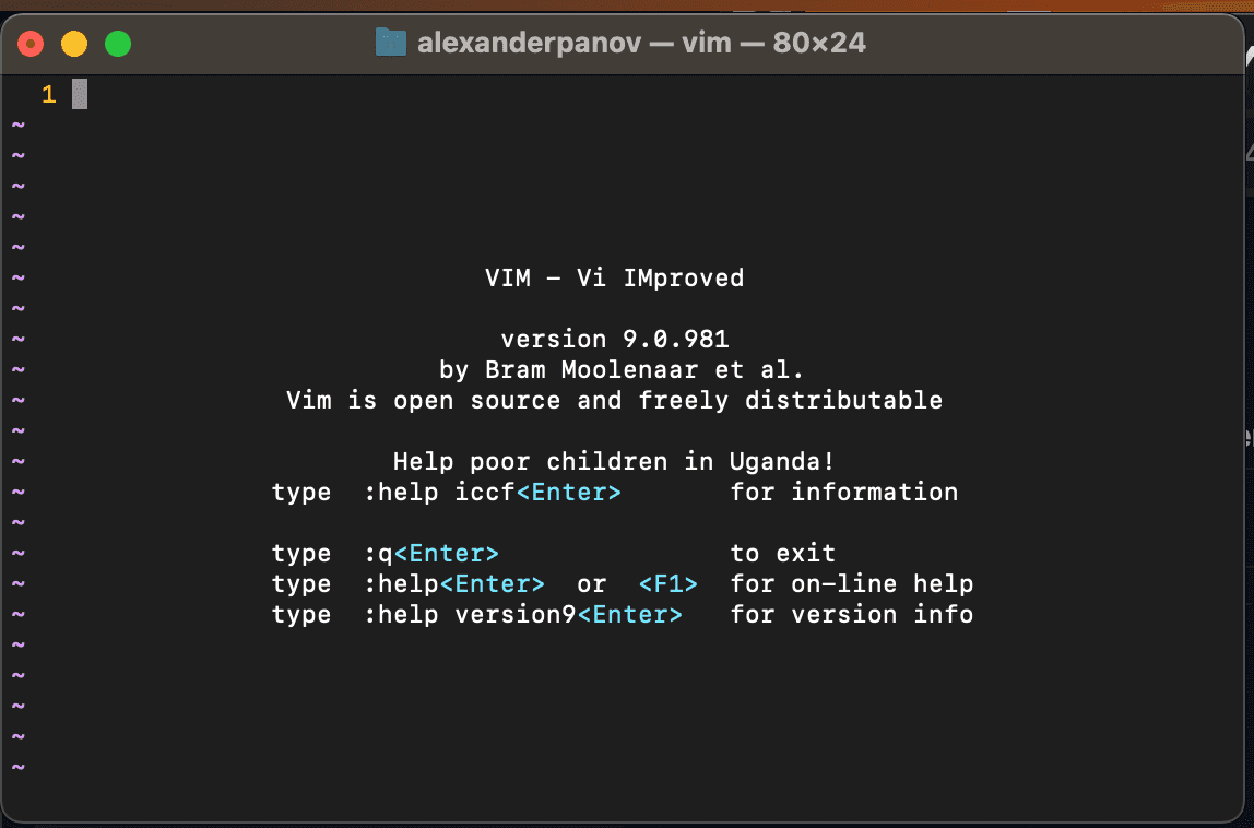 You need to get used to vim - here's why
