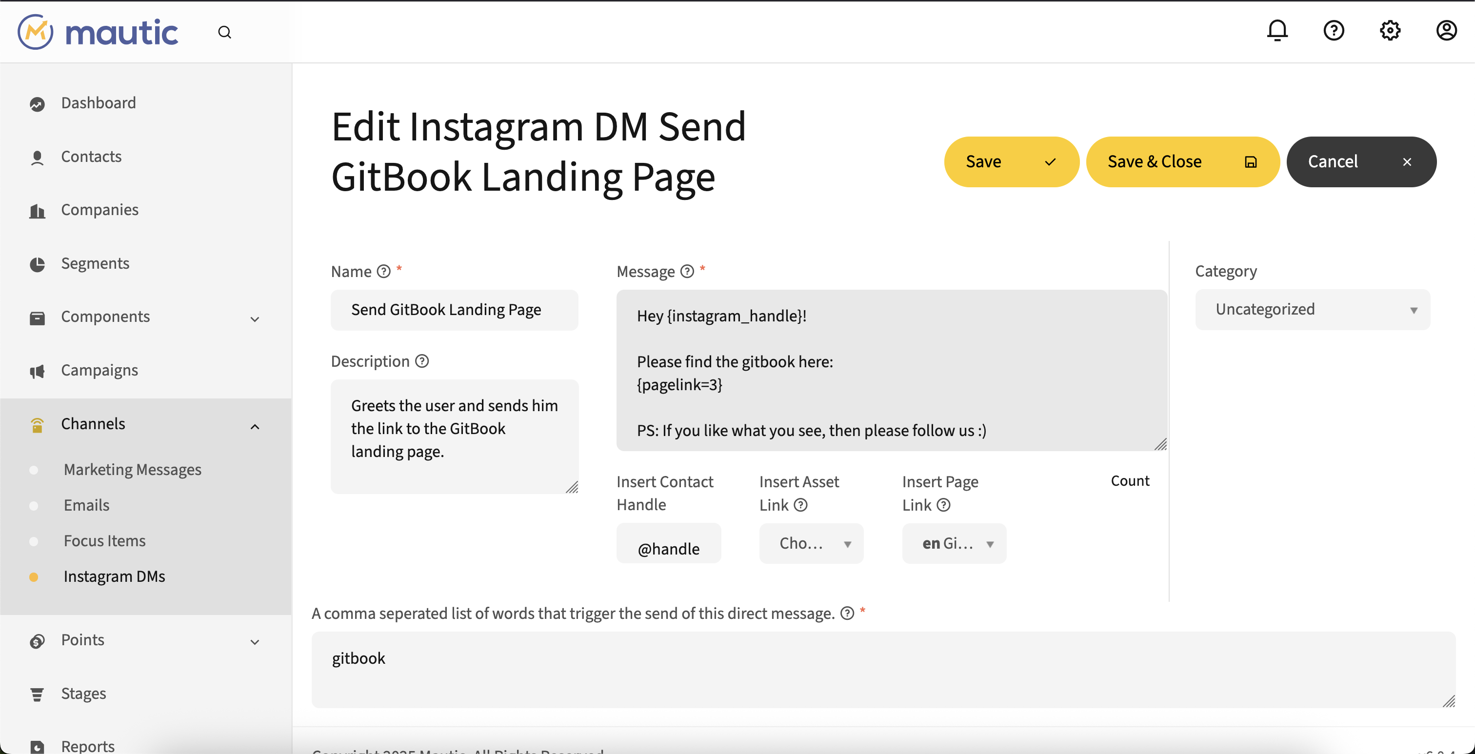 Bild von der Mautic Oberfläche auf der Unterseite InstagramDMs.